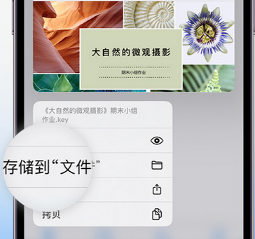 盘山apple维修中心分享iPhone文件应用中存储和找到下载文件