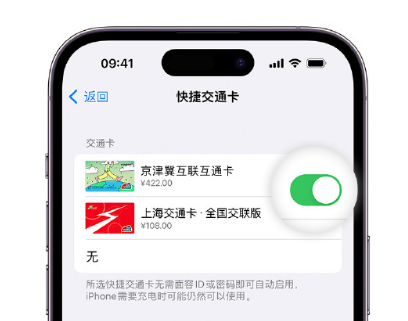 盘山apple维修点分享iPhone上更换Apple Pay快捷交通卡手绘卡面 