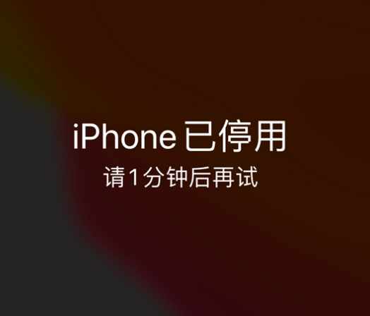 盘山苹果手机维修分享:iPhone 显示“不可用”或“已停用”怎么办？还能保留数据吗？ 