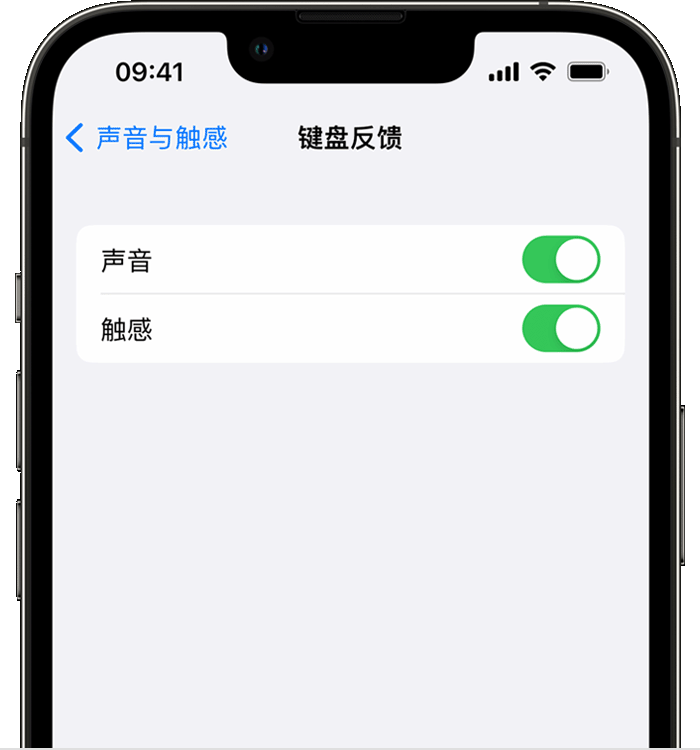 盘山苹果14维修店分享如何在 iPhone 14 机型中使用触感键盘 