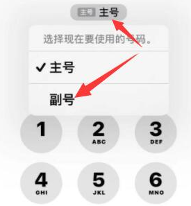 盘山苹果14维修店分享iPhone 14 Pro Max使用副卡打电话的方法 