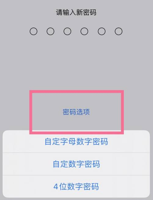 盘山苹果14维修分享iPhone 14plus设置密码的方法 