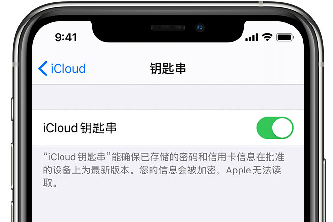 盘山苹果手机维修分享在 iPhone 上开启 iCloud 钥匙串之后会储存哪些信息 