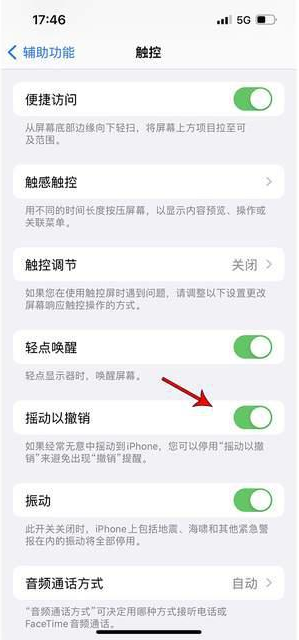 盘山苹果手机维修分享iPhone手机如何设置摇一摇删除文字 