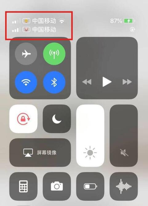 盘山苹果手机维修分享为 iPhone 12 双卡设置标签 